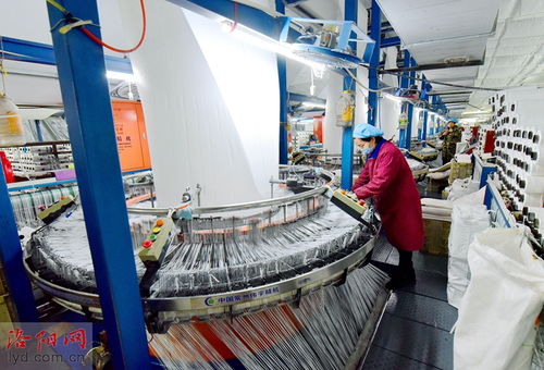 洛陽九發(fā)實(shí)業(yè) 瞄準(zhǔn)市場(chǎng)需求促生產(chǎn)，研發(fā)環(huán)保產(chǎn)品穩(wěn)就業(yè)